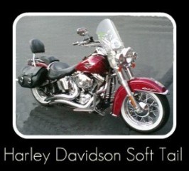 Harley Davidson Soft Tail